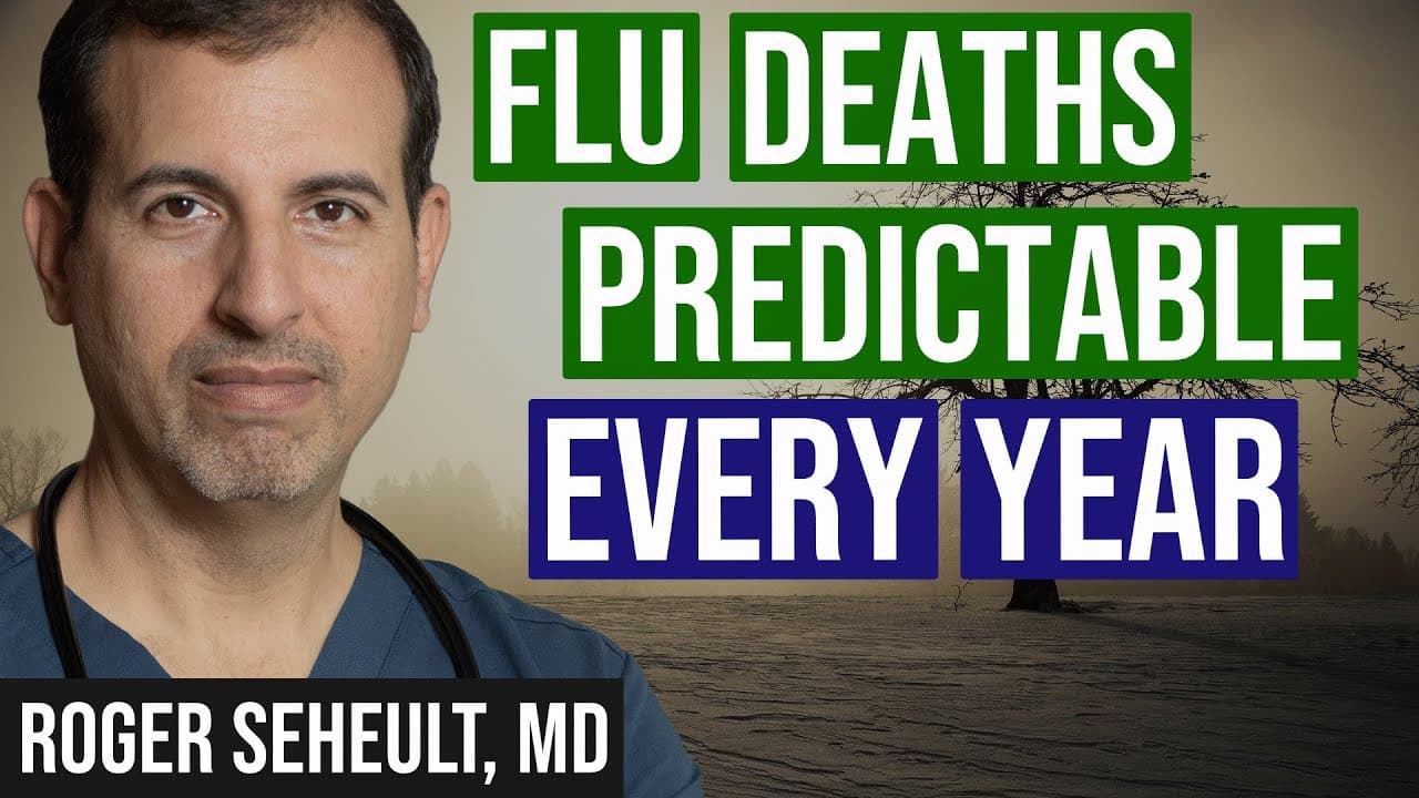 Flu Deaths Predictable Every Year
