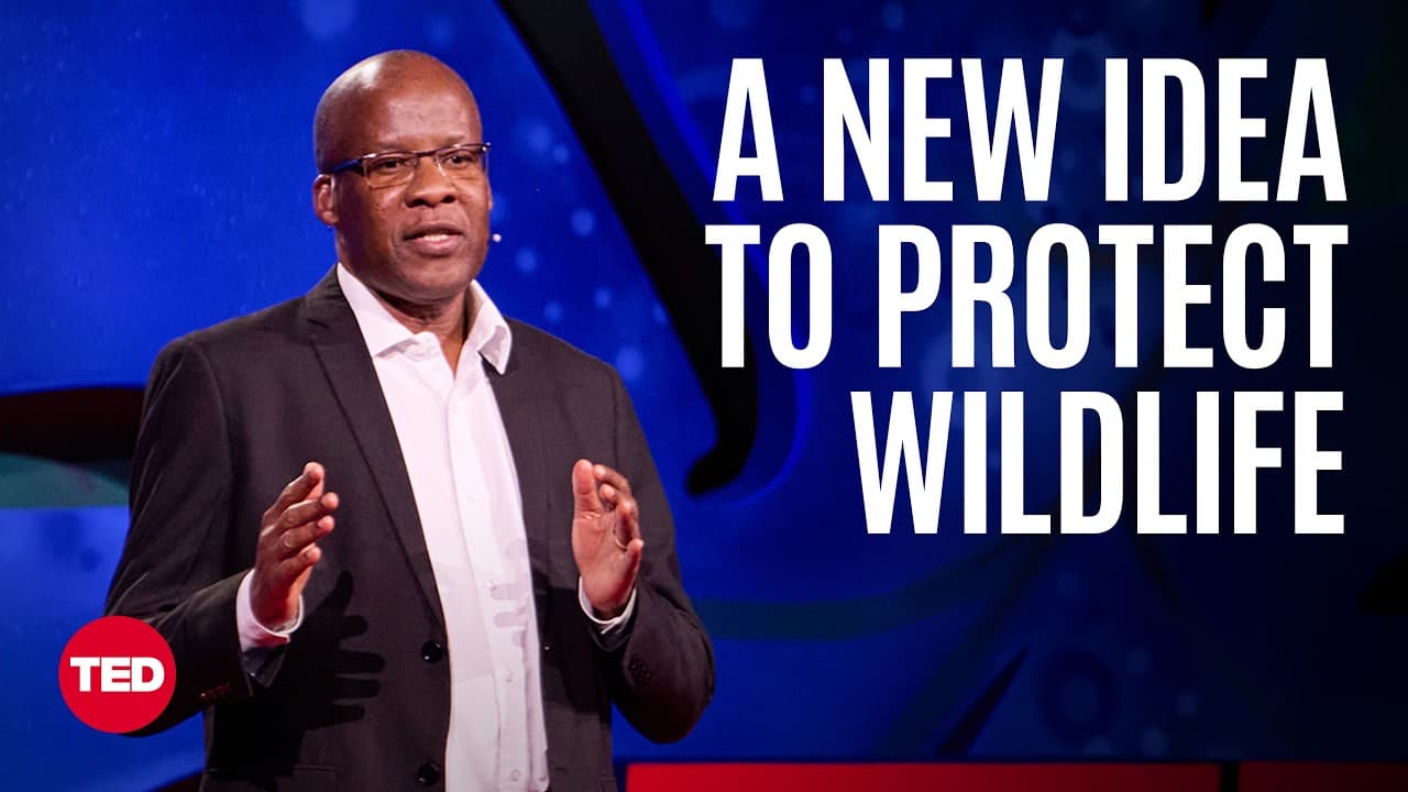 Why I Want to Bring Lions Back to My Village | Seif Hamisi | TED